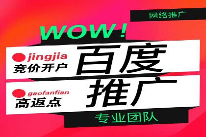 SEM搜索引擎优化实战案例分享，助力企业增长